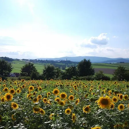 Nyaraló With Garden Eschlkam
